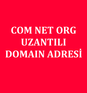 Com Net Org Uzantılı Domain